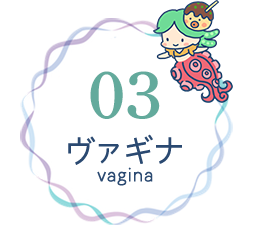 03 ヴァギナ（vagina）